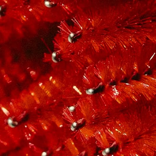 The Cupid Special💘